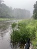 resIMG_20230703_071450_IMG_0527.jpg